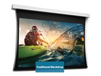 Da-Lite Tensioned DescenderPro - Projektorduk - takmontering - motoriserad - 166.93" (424 cm) - 16:9 - HD Progressive 1.3 - vit 10104659