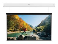 Da-Lite DescenderPro - Projektorduk - takmontering - motoriserad - 126" (319 cm) - 16:10 - Matte White - vit pulverbeläggning 10104800