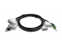 StarTech.com - Tangentbords-/video-/muskabel - TAA-kompatibel - USB typ A, DVI, 3,5 mm ljuduttag (hane) till USB Type B, DVI, 3,5 mm ljuduttag (hane) - 3 m SK2DVMMKVM10-TAA