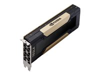 NVIDIA Tesla V100S - GPU-beräkningsprocessor - Tesla V100S HBM2 - PCIe 3.0 x16 - fläktlös TCSV100SM-32GB-PB